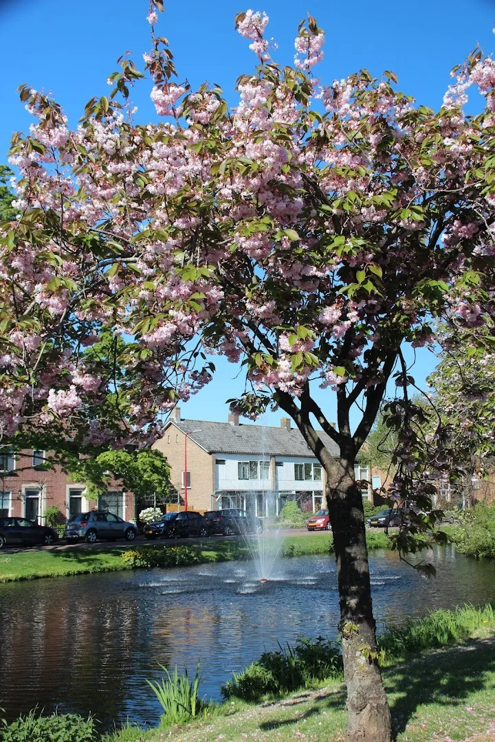 Bodegraven — foto 4