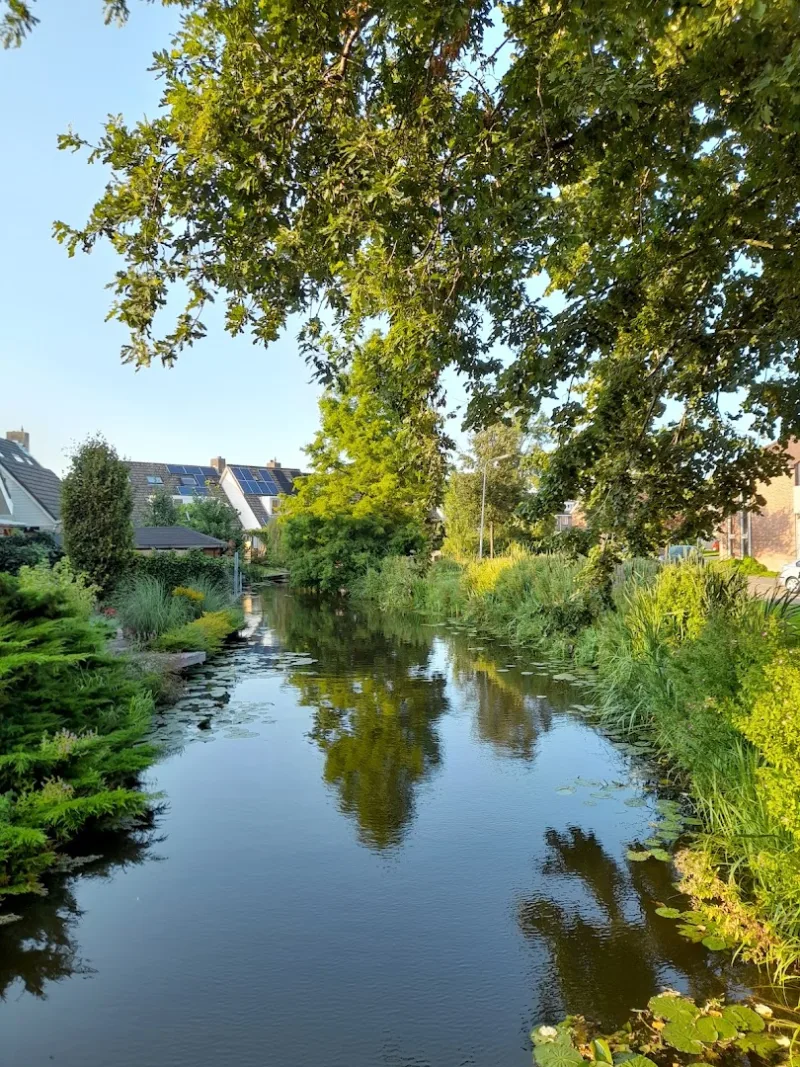 Bodegraven — foto 7