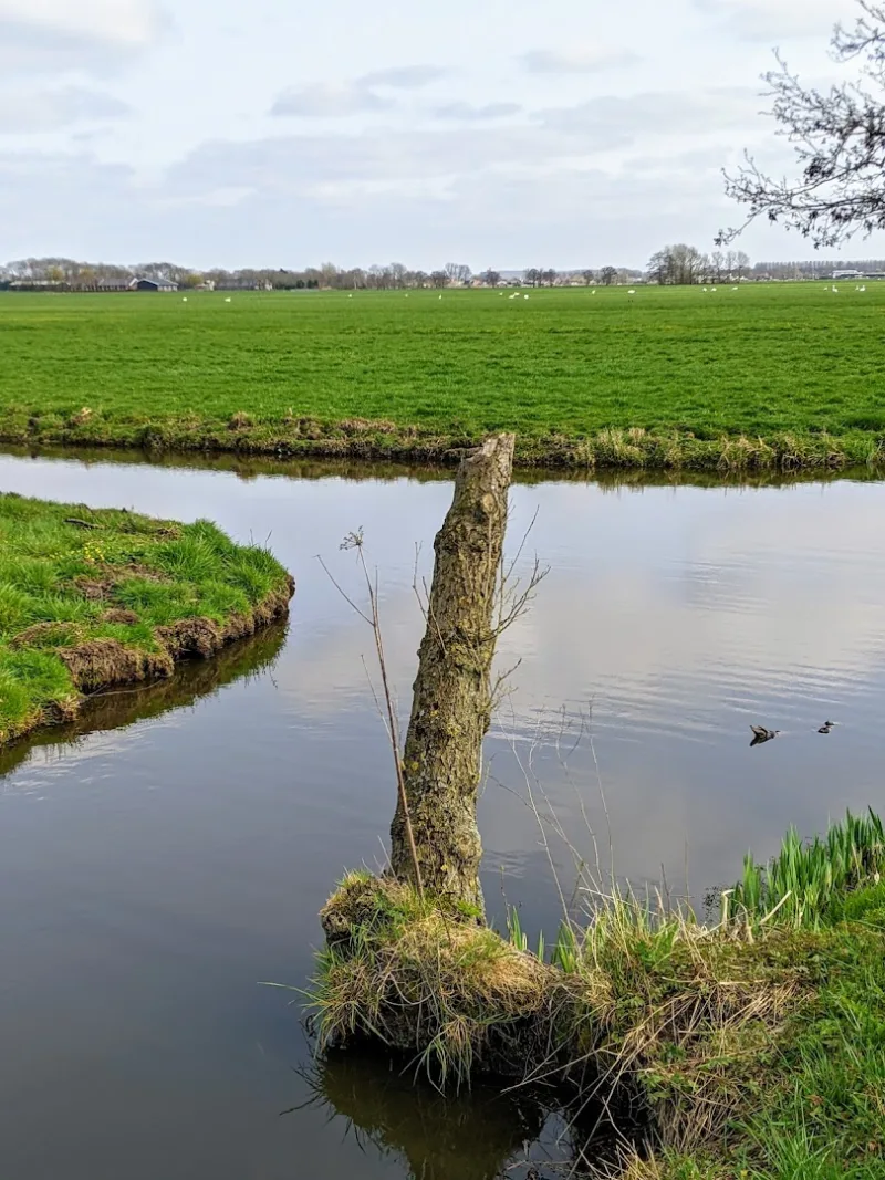Bodegraven — foto 8