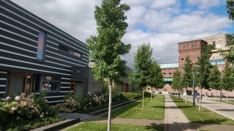 Karwei Enschede West — foto 5