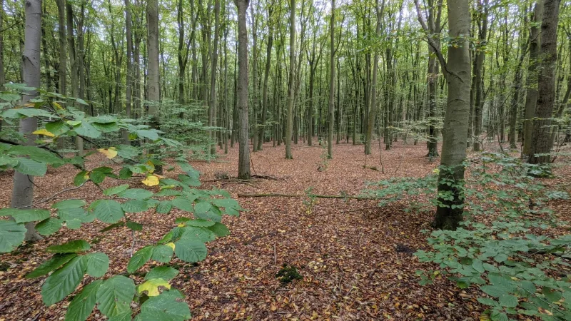 Karwei Huizen — foto 3