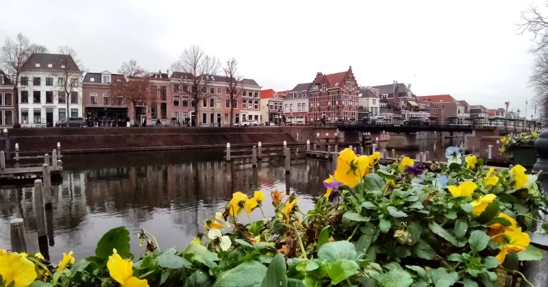 Karwei Gorinchem — foto 7
