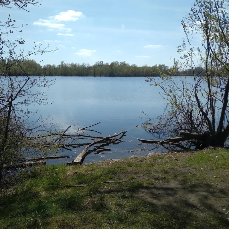 Karwei Goirle — foto 5