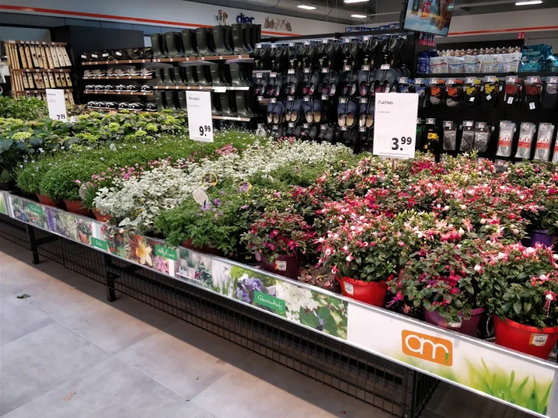 GAMMA Terneuzen — foto 8
