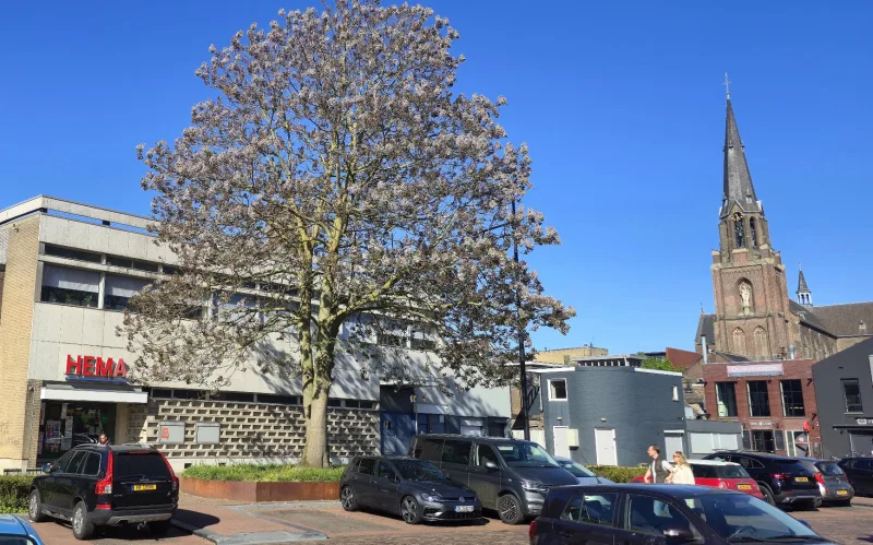 HEMA Helmond — foto 6