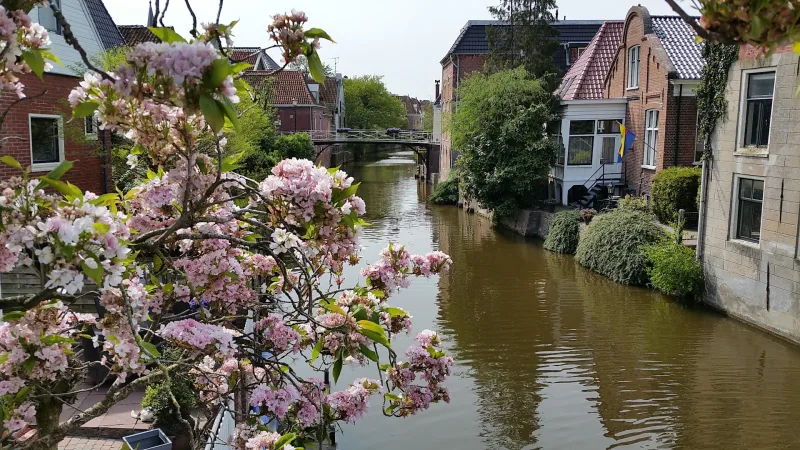 Scapino Appingedam — foto 7