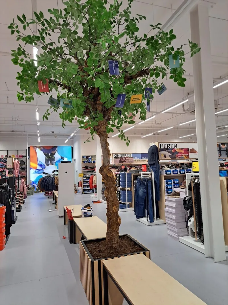 Scapino Roosendaal — foto 8