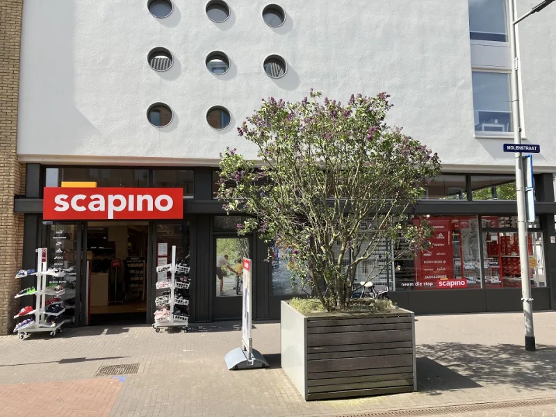 Scapino Zundert