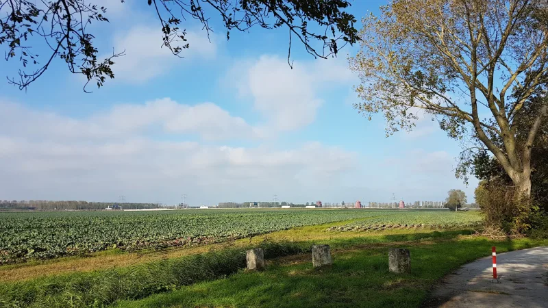 Almere Buiten — foto 10