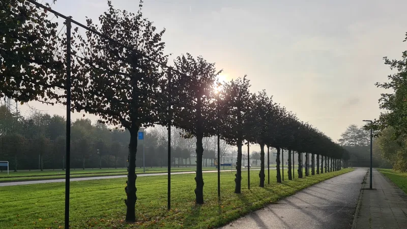Almere Buiten — foto 2