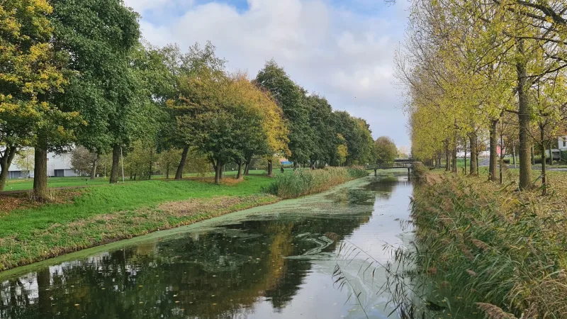 Almere Buiten — foto 3