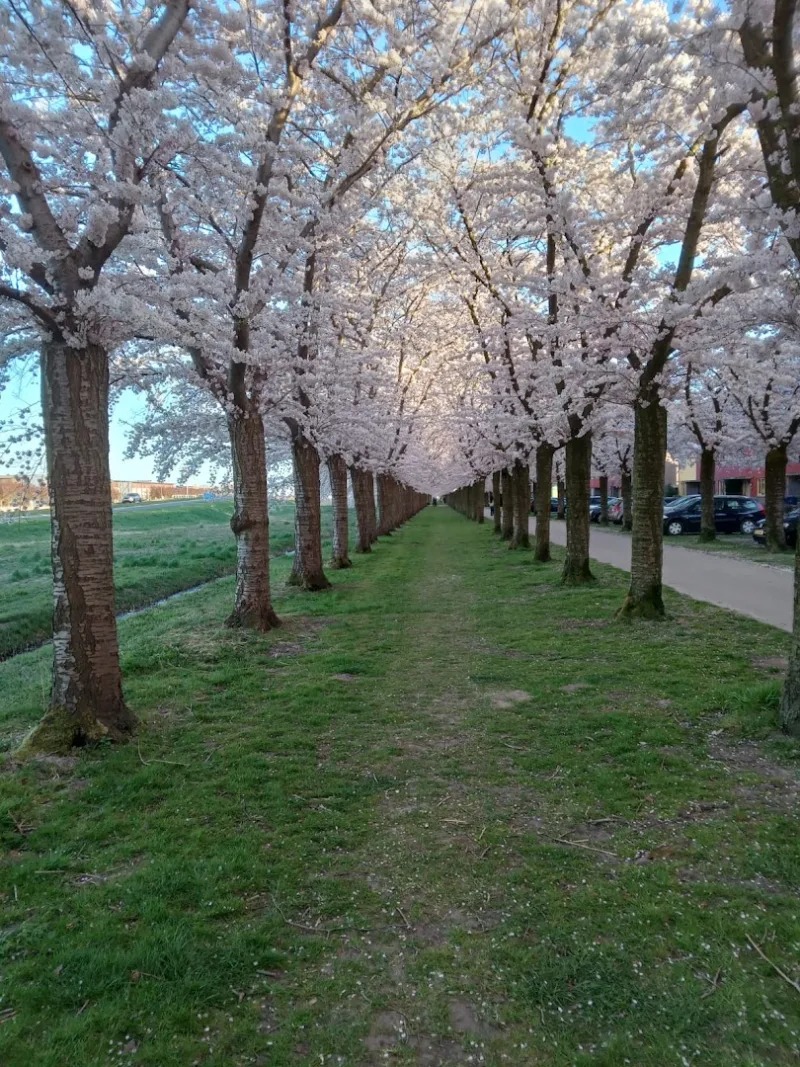 Almere Buiten
