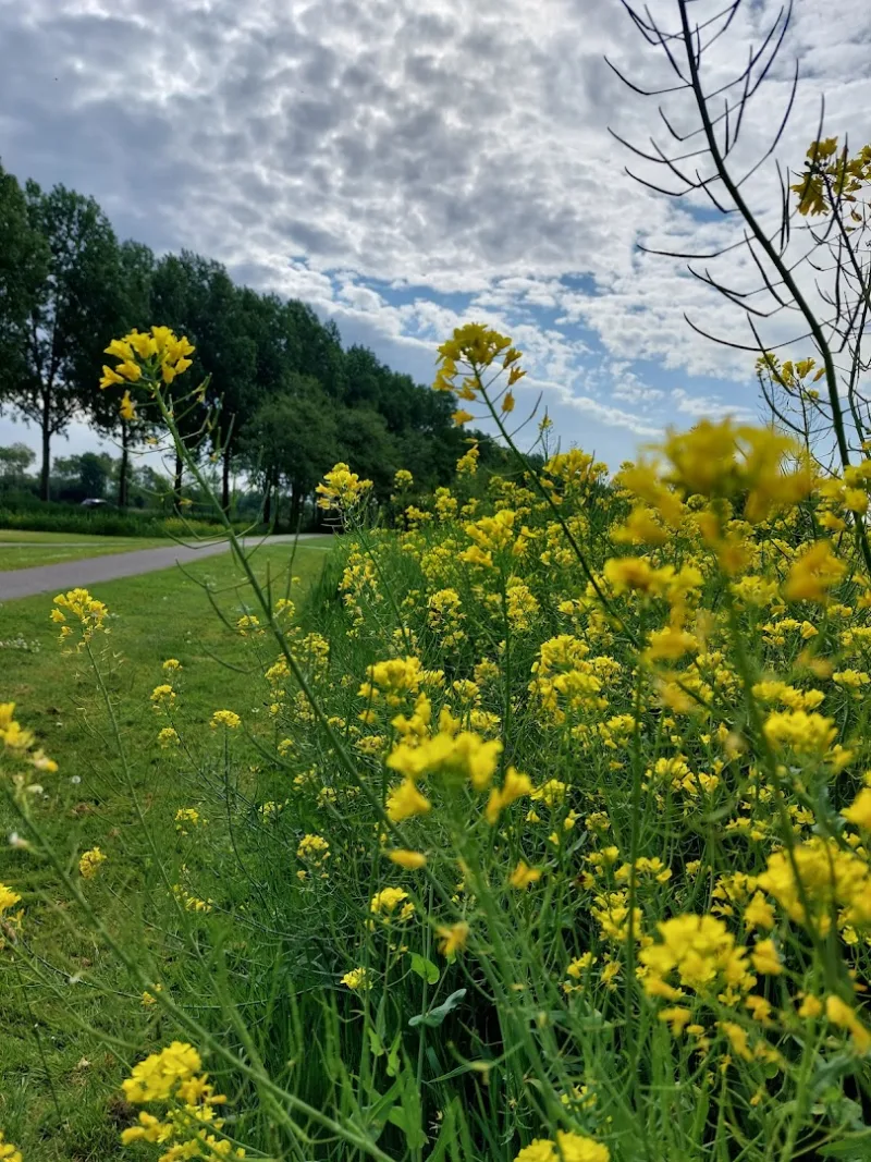 Alphen a-d Rijn — foto 2