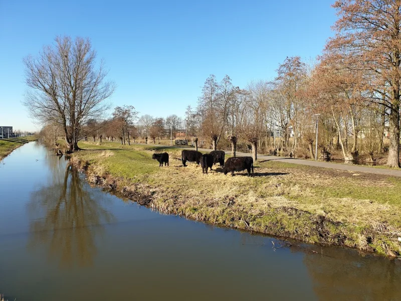 Alphen a-d Rijn — foto 4