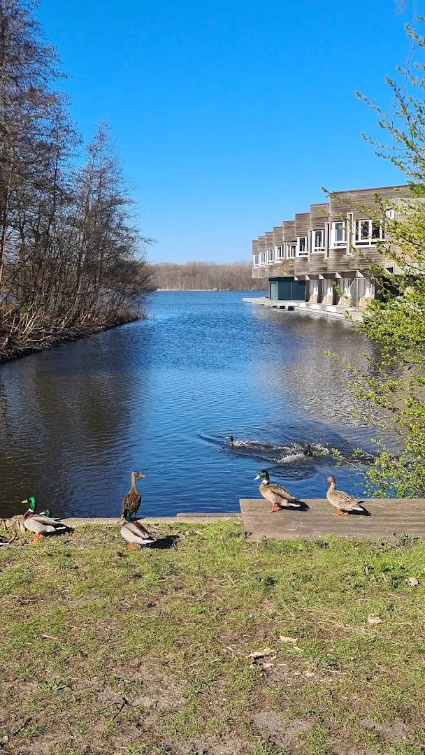 Amstelveen — foto 6