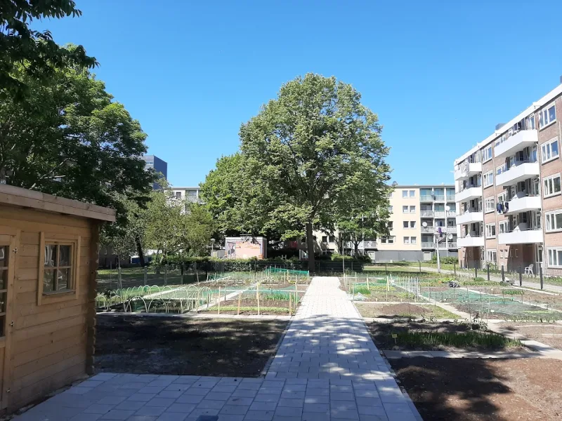 Amsterdam Osdorp — foto 7
