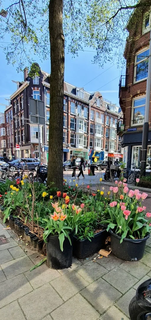 Amsterdam City Van Woustraat — foto 8