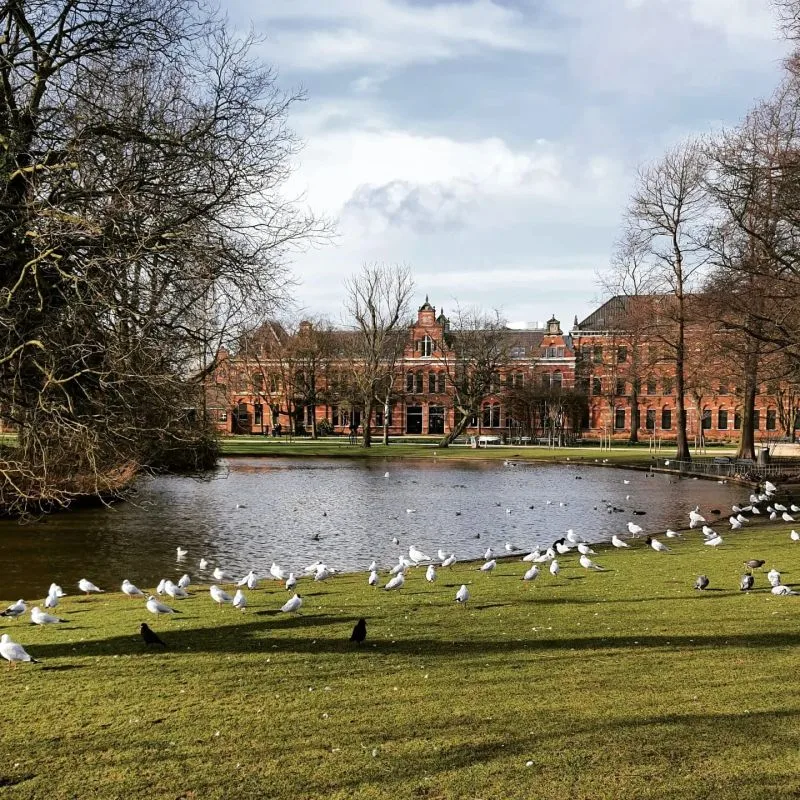 Amsterdam Westerpark — foto 7