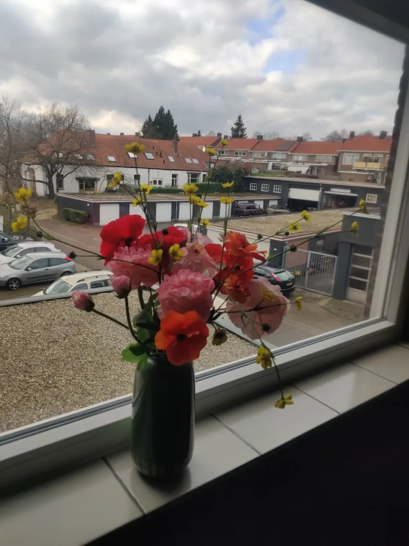 Arnhem Zuid — foto 3