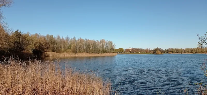 Arnhem Zuid — foto 6