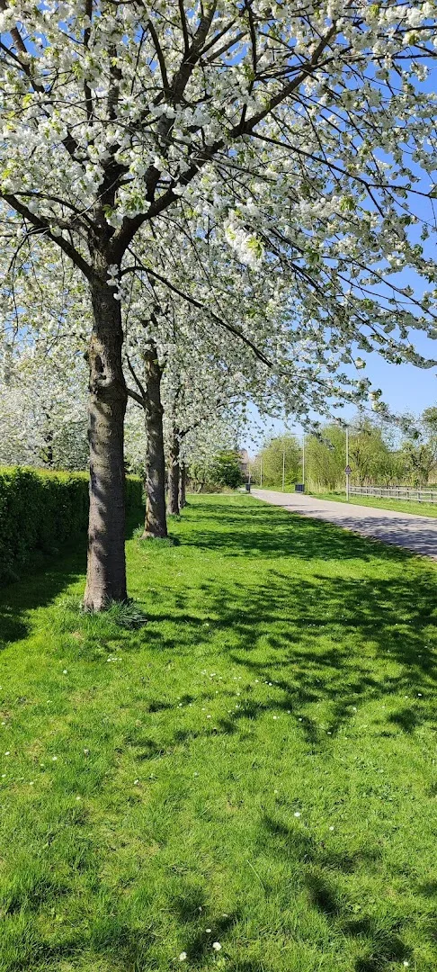 Arnhem Zuid — foto 8