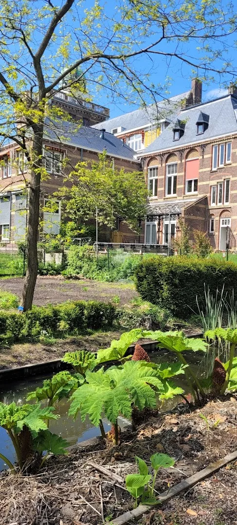 Delft — foto 3