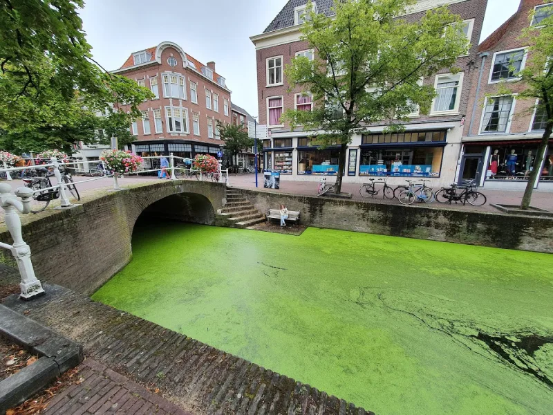 Delft — foto 4