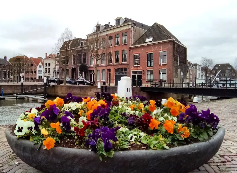 Dordrecht — foto 4