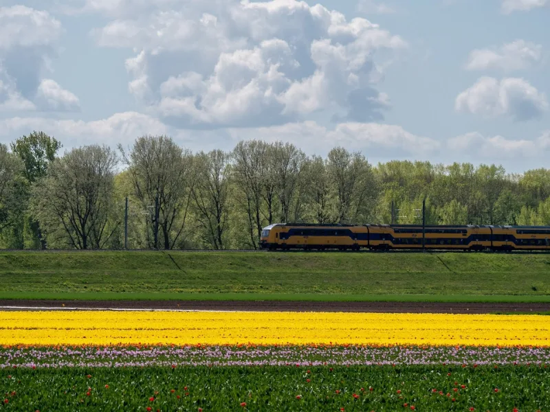 Dronten — foto 6