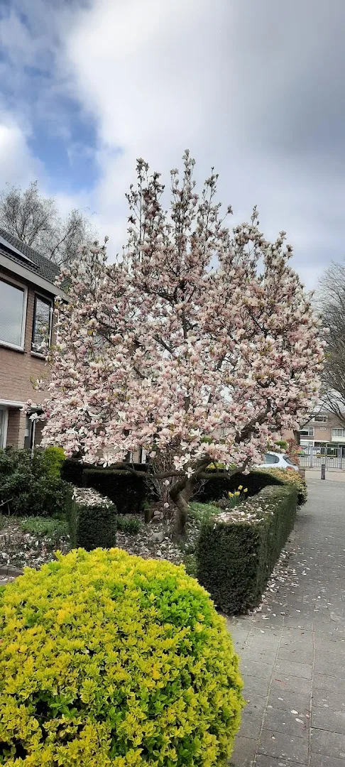 Drunen — foto 7