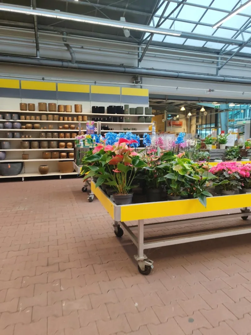 Eindhoven Hurksestraat: Megastore & tuincentrum — foto 5