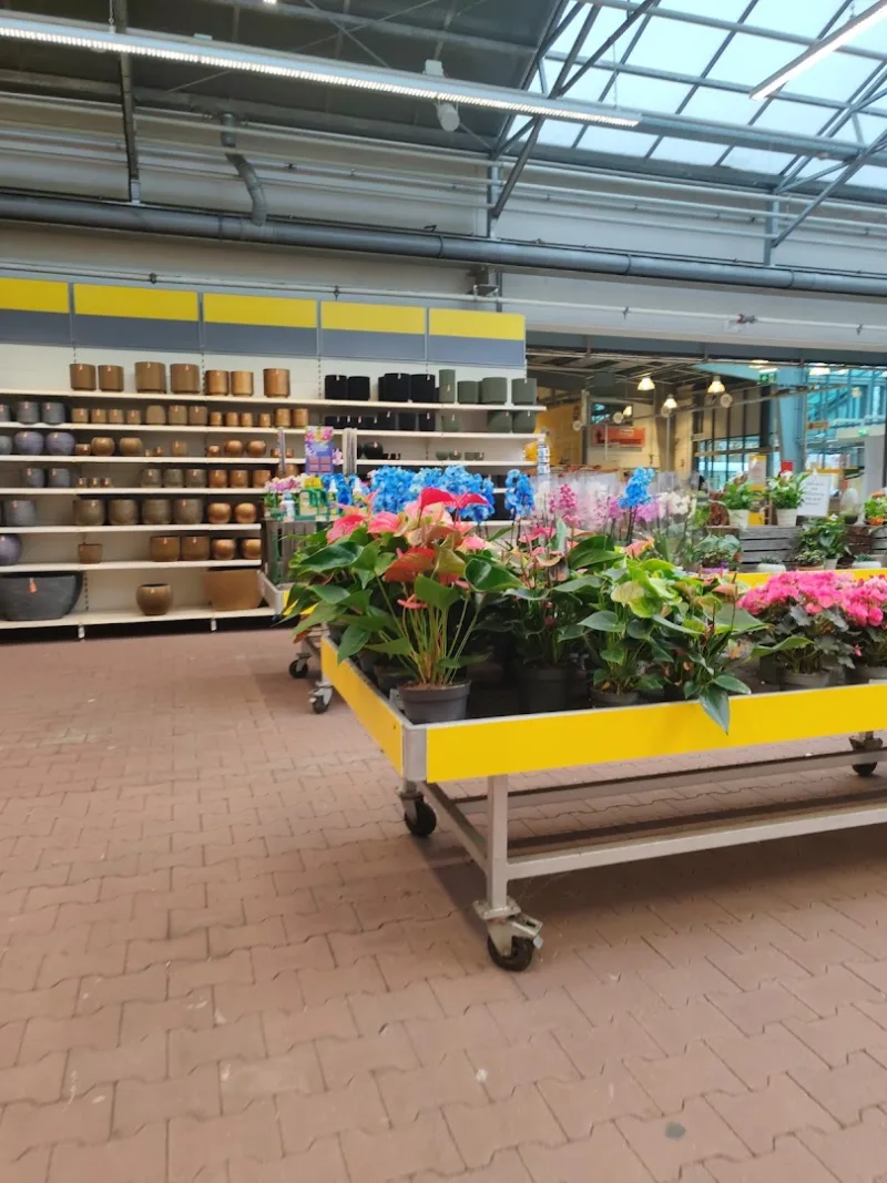 Eindhoven Hurksestraat: Megastore & tuincentrum — foto 3