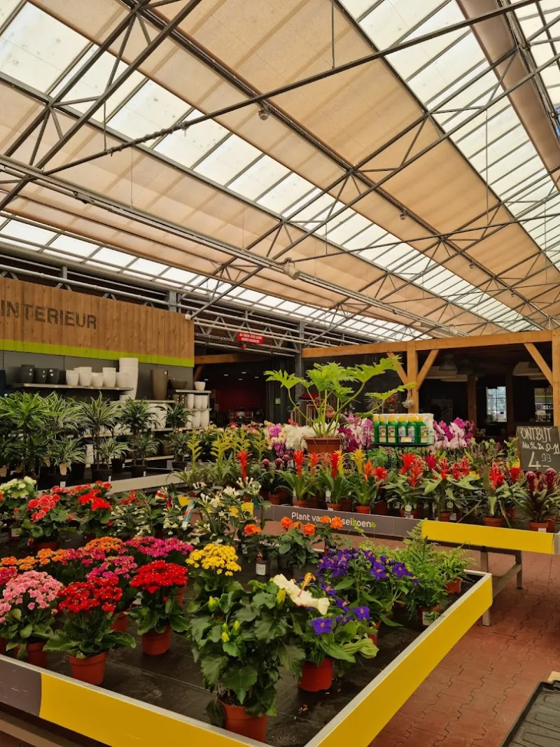 Groningen Damsterdiep: Megastore & tuincentrum — foto 6