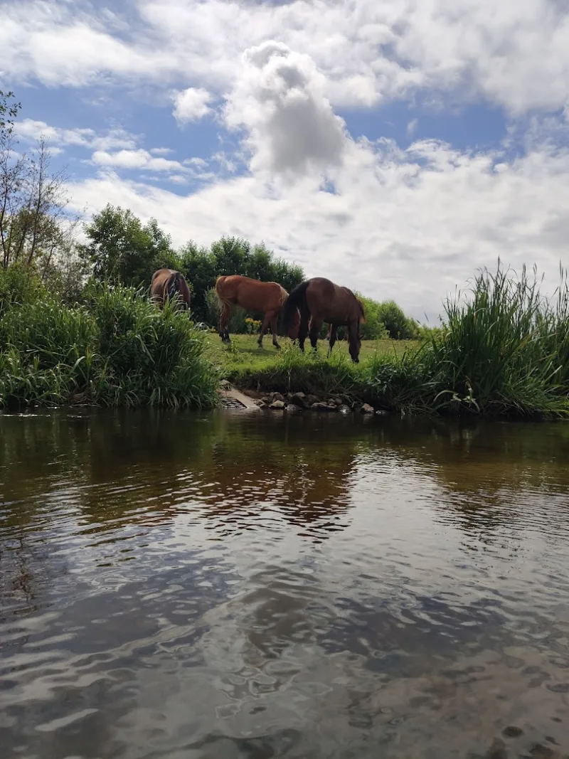 Hardenberg — foto 4