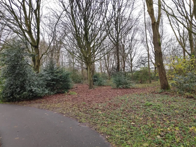 Hilversum — foto 9
