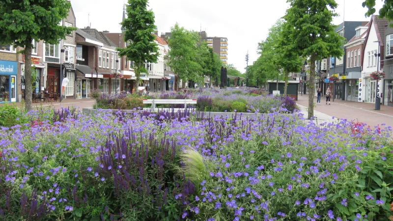 Hoogeveen — foto 5