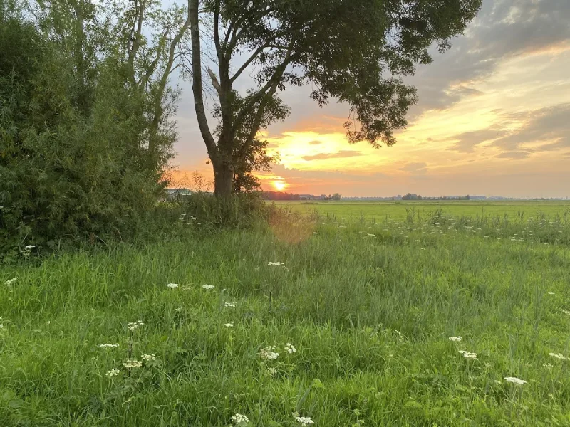 Ijsselmuiden — foto 8