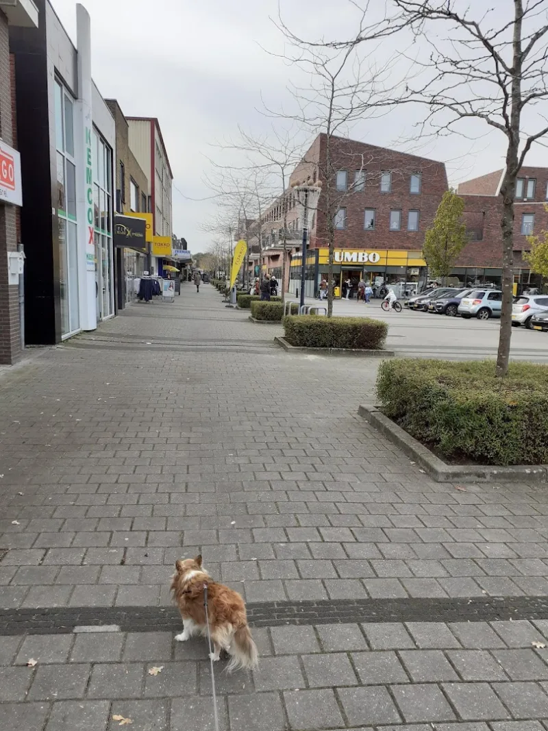 Klazienaveen — foto 7