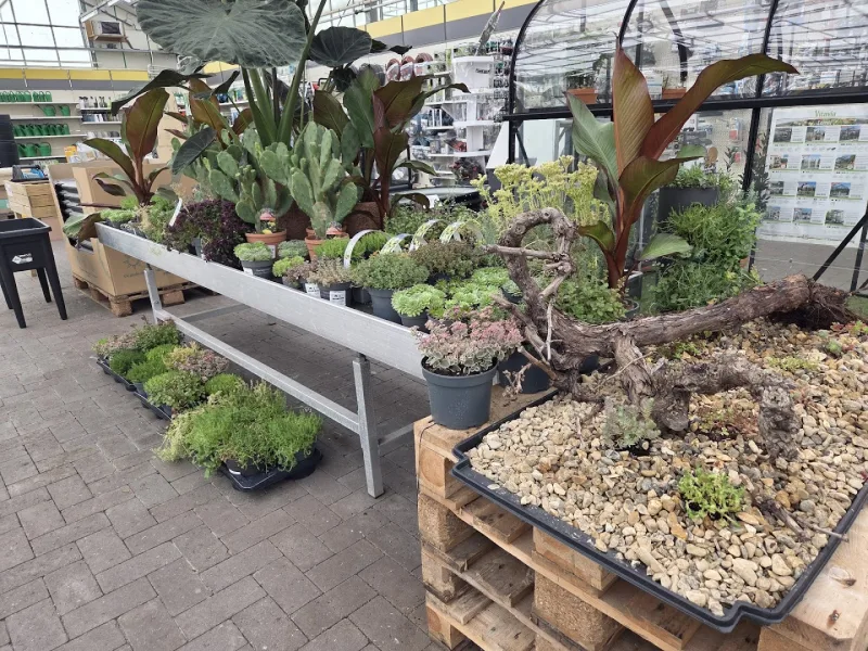 Leeuwarden Avondsterweg: Megastore & tuincentrum — foto 4