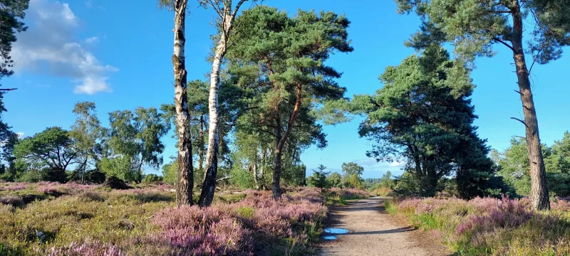 Nijverdal — foto 3