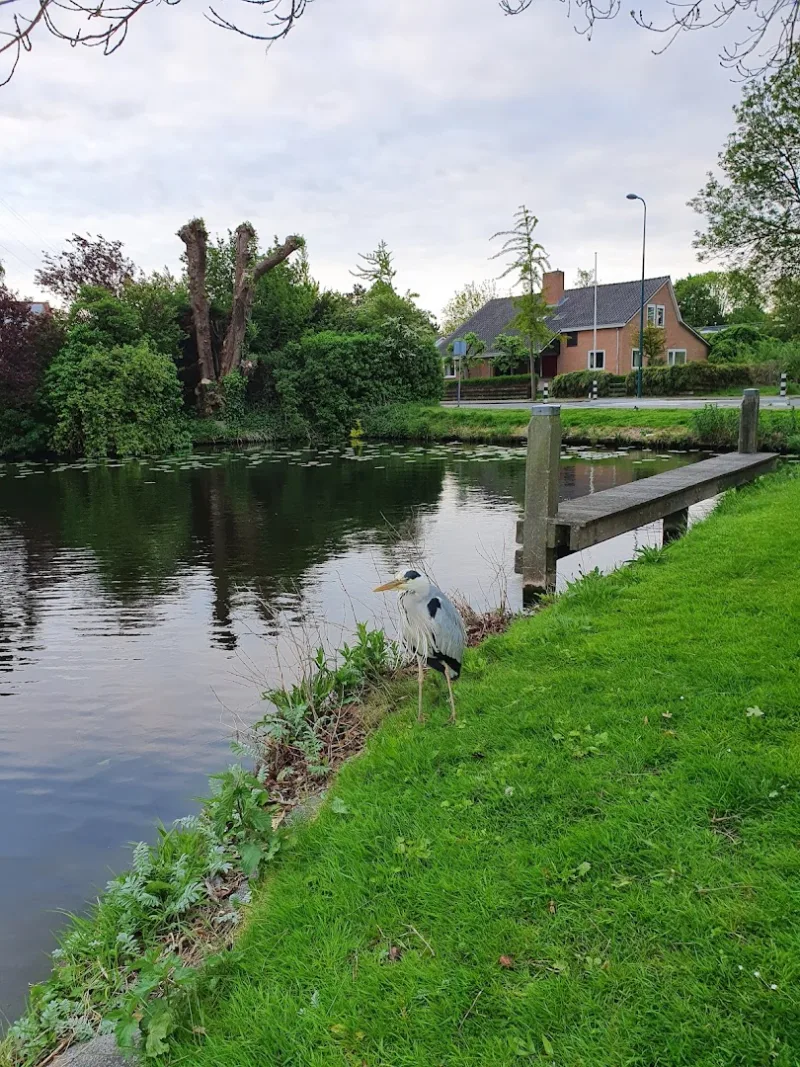Oegstgeest — foto 6