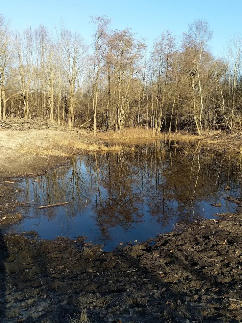Oostvoorne — foto 7