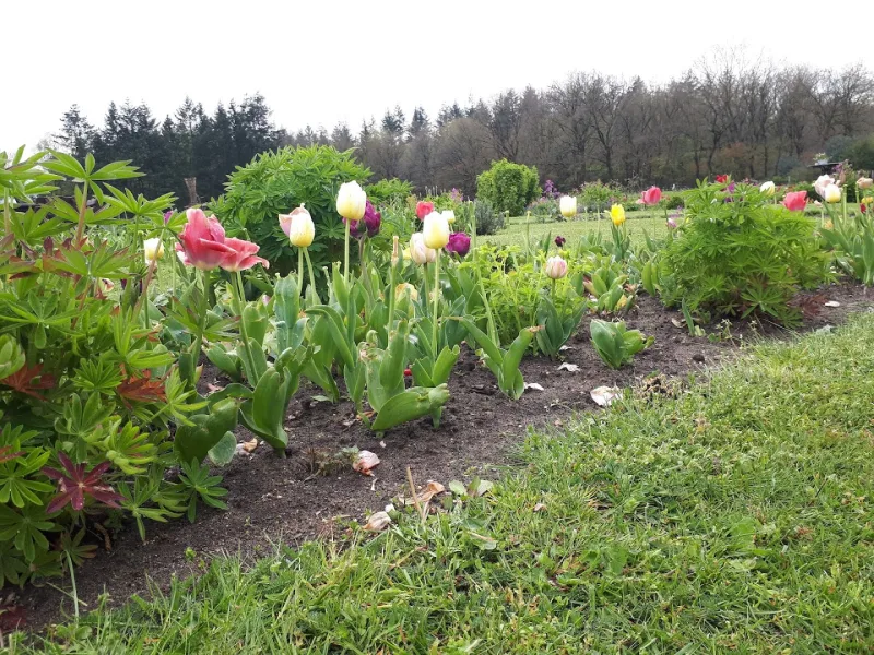 Putten — foto 3