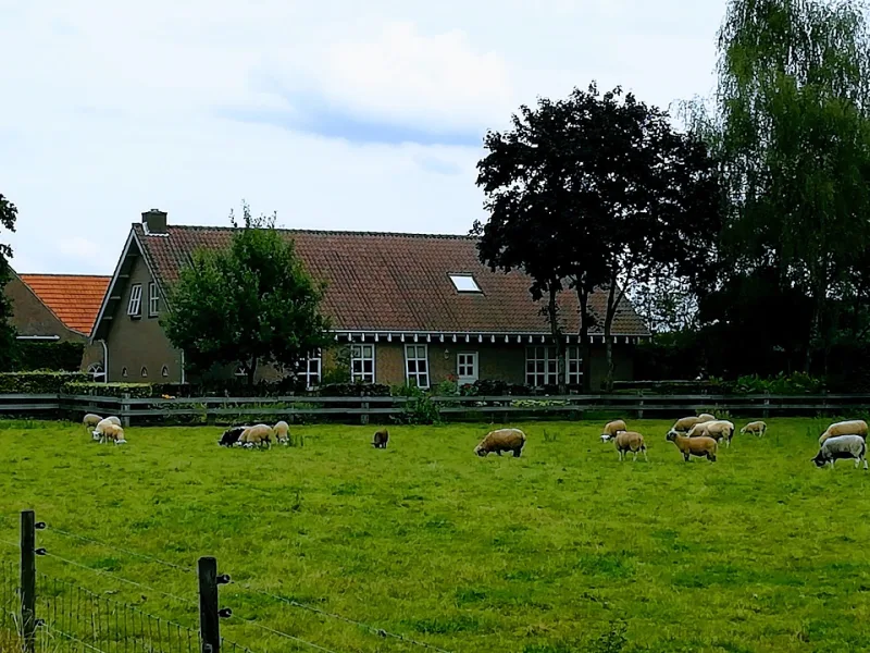 Putten — foto 4