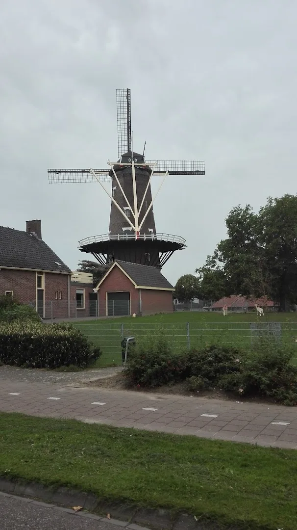 Raamsdonksveer — foto 5