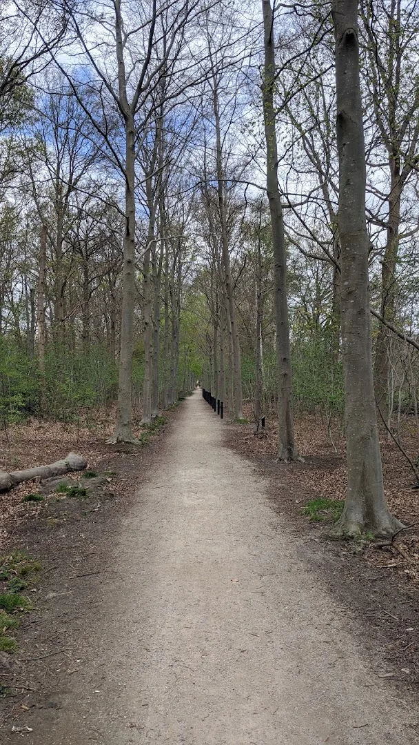 Roosendaal — foto 5