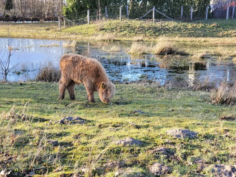 Tilburg Reeshof — foto 3