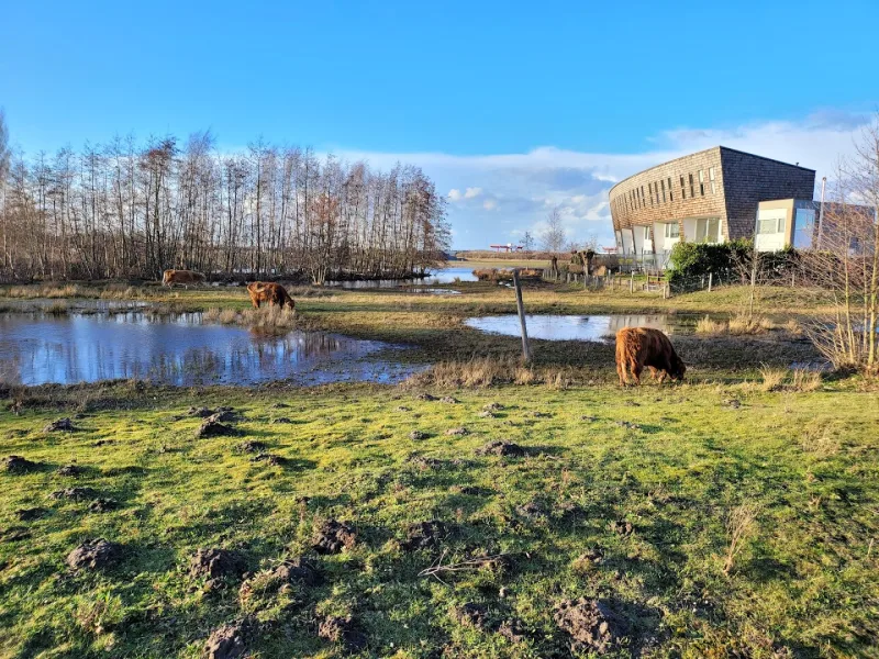 Tilburg Reeshof — foto 5