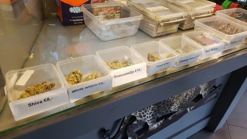 Veenendaal: Megastore — foto 7