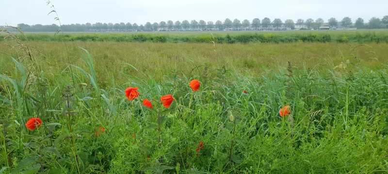 Velserbroek — foto 4
